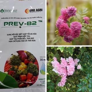 Phân Bón Lá Sinh Học PREV-B2 Dạng Gói