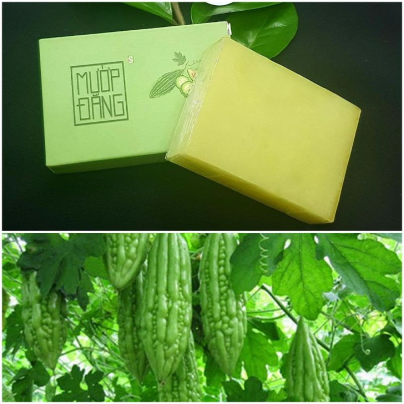 Xà Bông Sinh Dược Mướp Đắng Ngừa Mụn Lưng, Mát Da