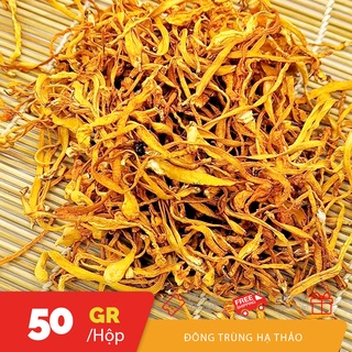 Túi 100gr Đông Trùng hạ thảo tách lẻ thơm ngon bỗ dưỡng
