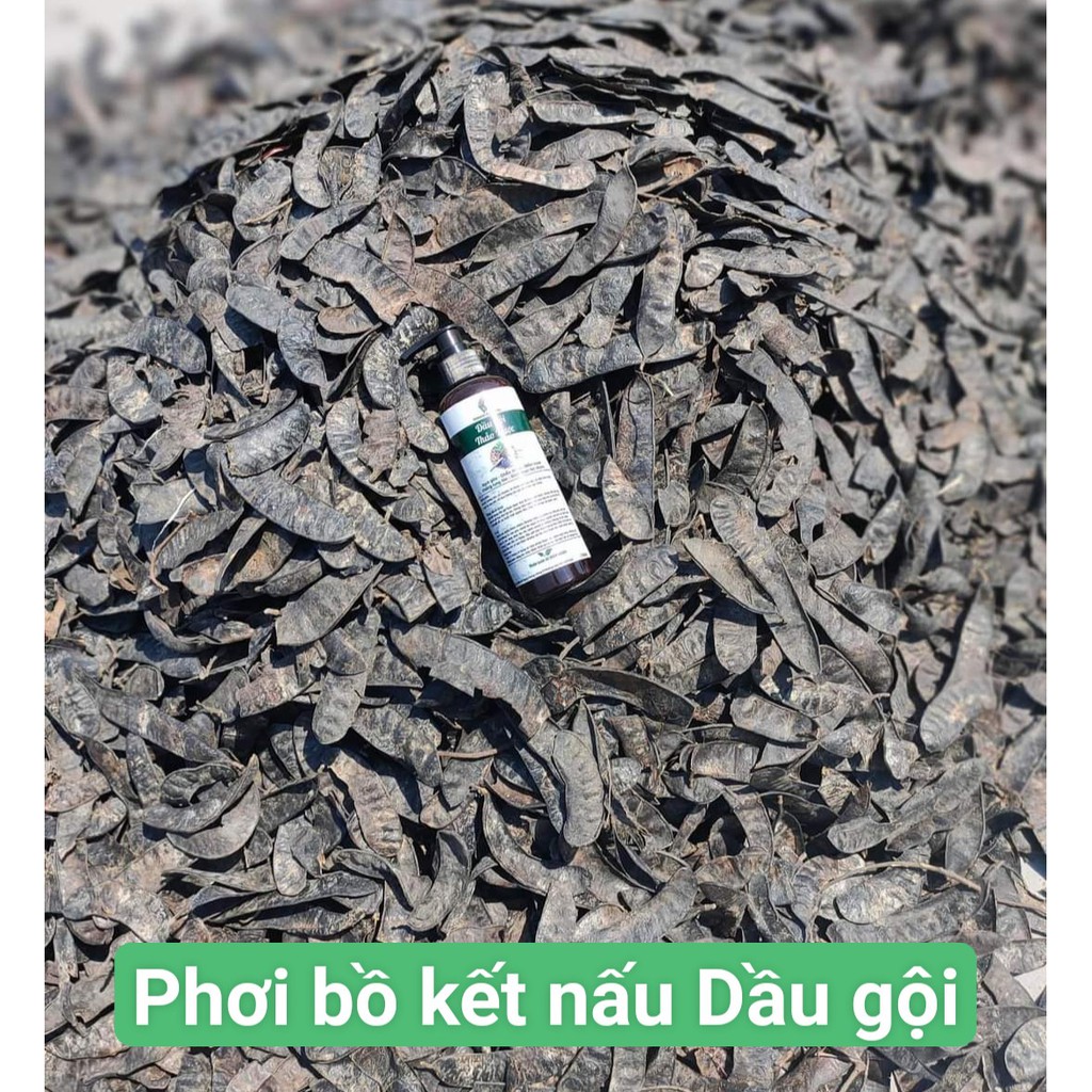 DẦU GỘI THẢO DƯỢC ngăn rụng tóc, sạch gàu ngứa, kích thích mọc tóc, kiềm dầu chống bết | BigBuy360 - bigbuy360.vn