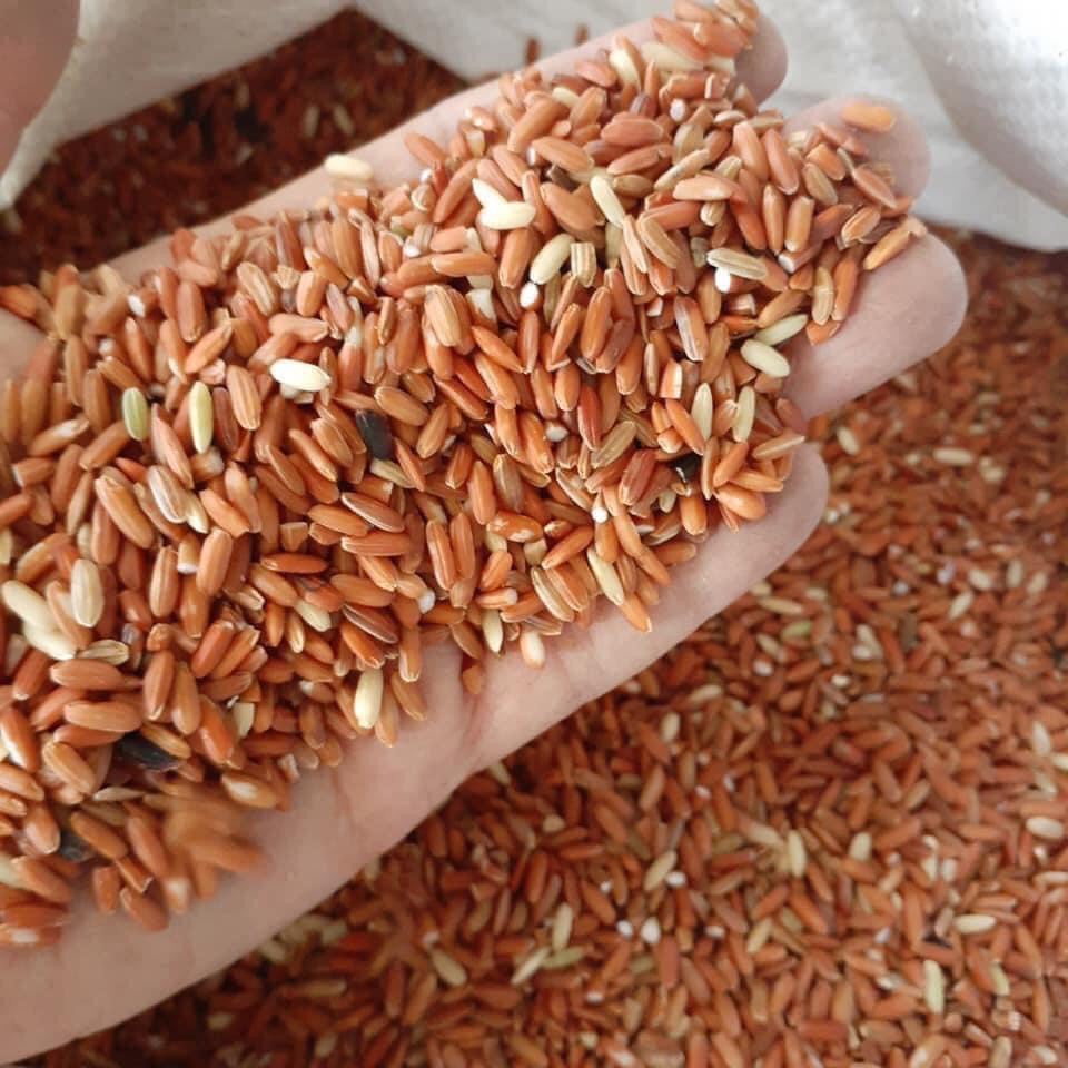 Gạo lứt Đỏ dẻo Điện Biên 1Kg