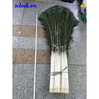 Lông Côn Phong Thủy 1,2m-1,3m [MUA TỐI THIỂU 15 LÔNG]