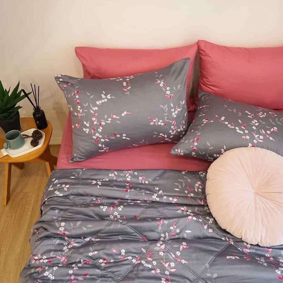 Bộ drap lụa modal Hàn Quốc size theo yêu cầu