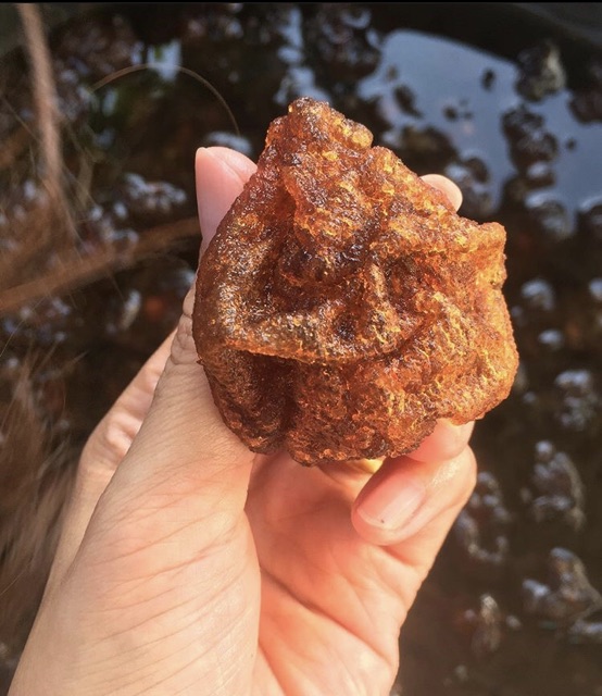 Hạt ươi bay Lâm Đồng loại đặc biệt siêu nở ( Hạt size lớn) Gói 1kg | BigBuy360 - bigbuy360.vn