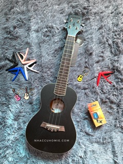 ĐÀN UKULELE CONCERT ANDREW XANH MS14