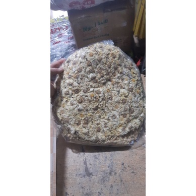 Bông cúc nấu sâm