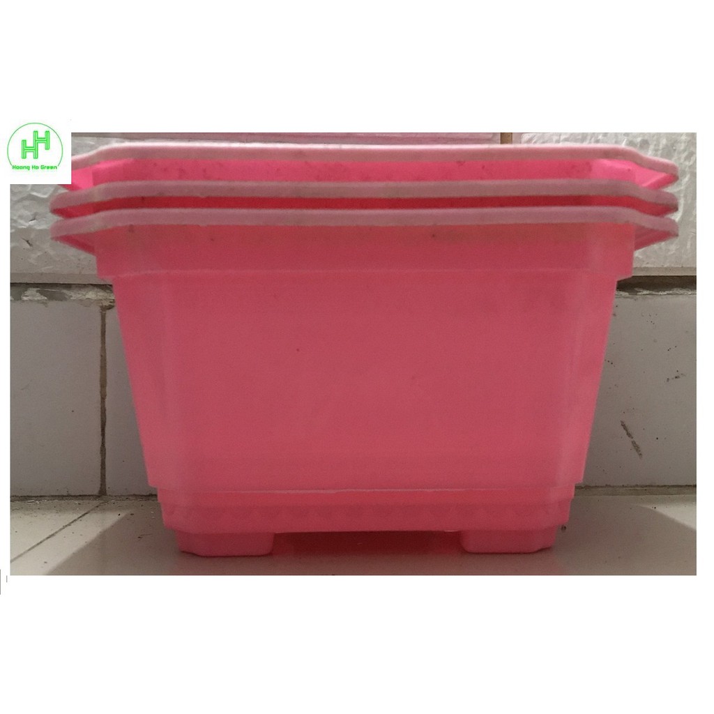 3 Chậu Nhựa Trồng Cây Mini Hình Chữ Nhật Màu Hồng Kích Thước 22x18x12Cm
