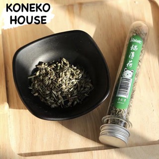 Catnip / Catmint / Cỏ bạc hà cho mèo