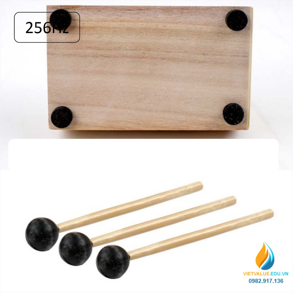 Âm thoa dao động tạo tần số 256Hz, âm thoa vật lý gồm búa cao su đi kèm