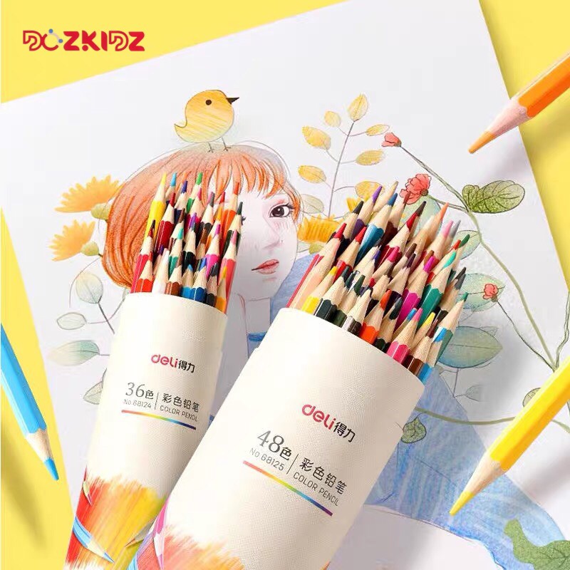 Bút chì màu 12/24/36 cao cấp - DOZKIDZ
