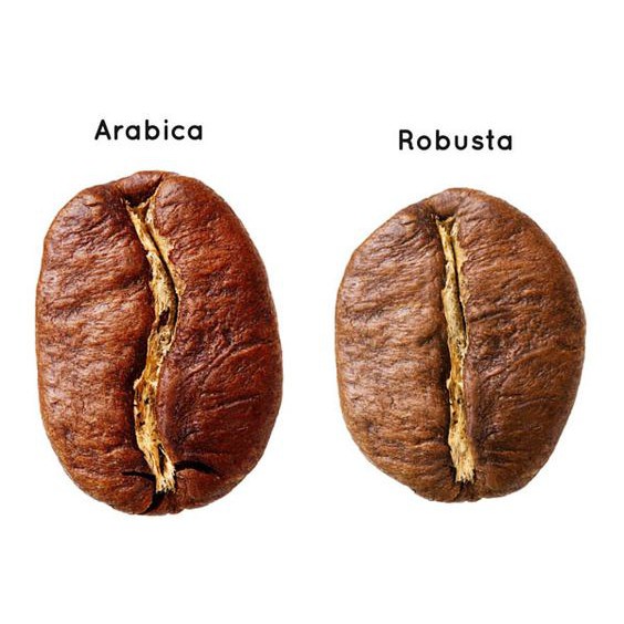 [FreeShip – Hàng Loại 1] Combo 2Kg cafe nguyên chất Robusta Sàn 18 rang mộc nguyên chất 100% | BigBuy360 - bigbuy360.vn