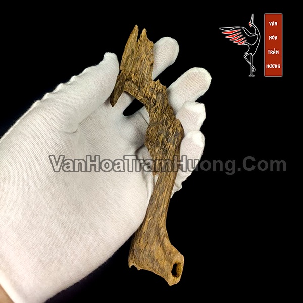 Trầm Hương Miếng Tự Nhiên Khai Thác Từ Ổ Kiến