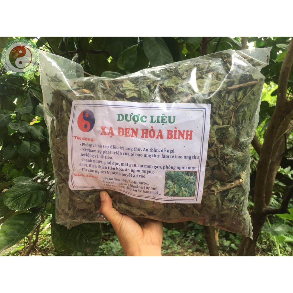 [Tổng Kho] 1kg Lá Xạ Đen Khô Hoà Bình Giúp Tiêu Viêm Giải Độc | BigBuy360 - bigbuy360.vn