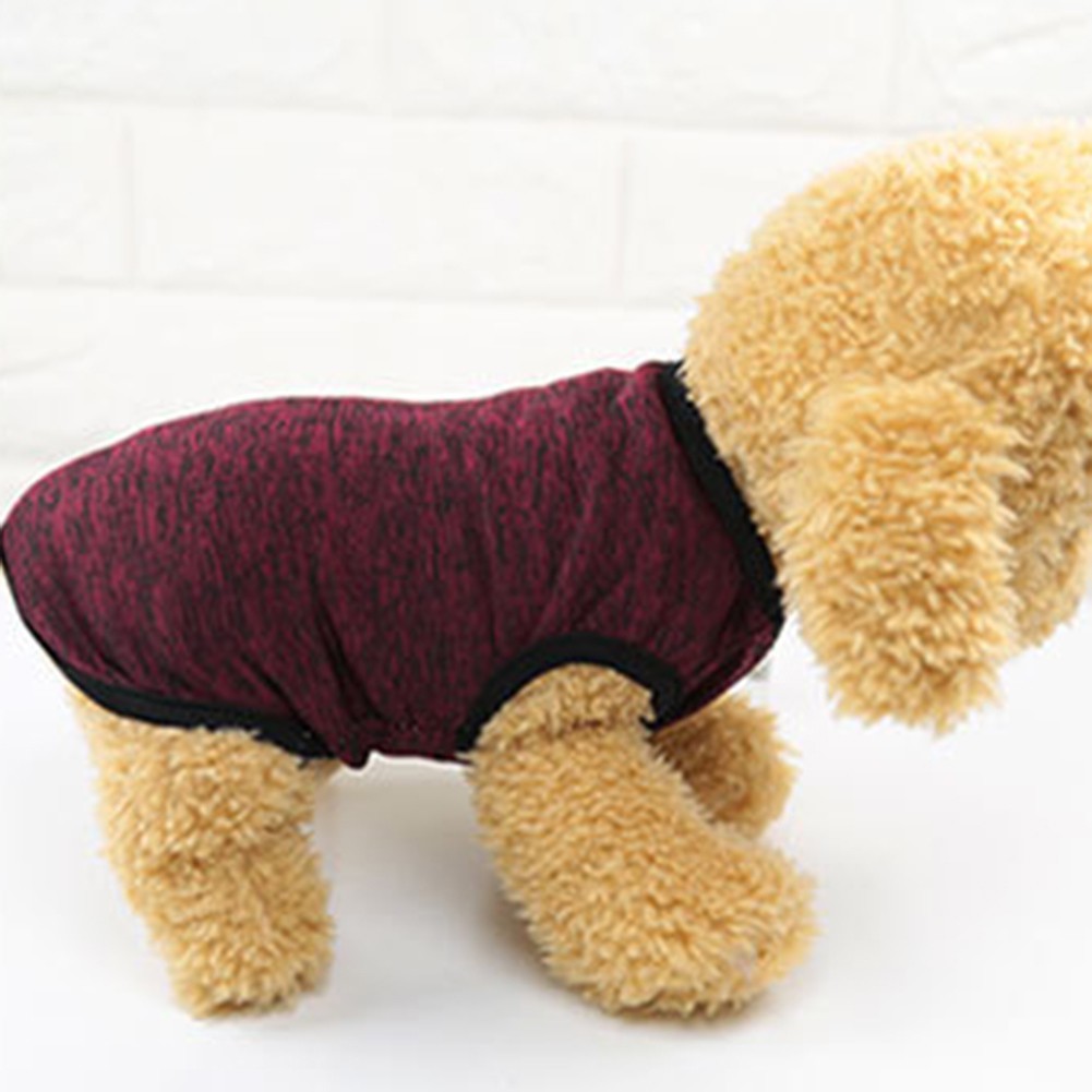 Áo khoác cotton thời trang mùa đông dành cho cún