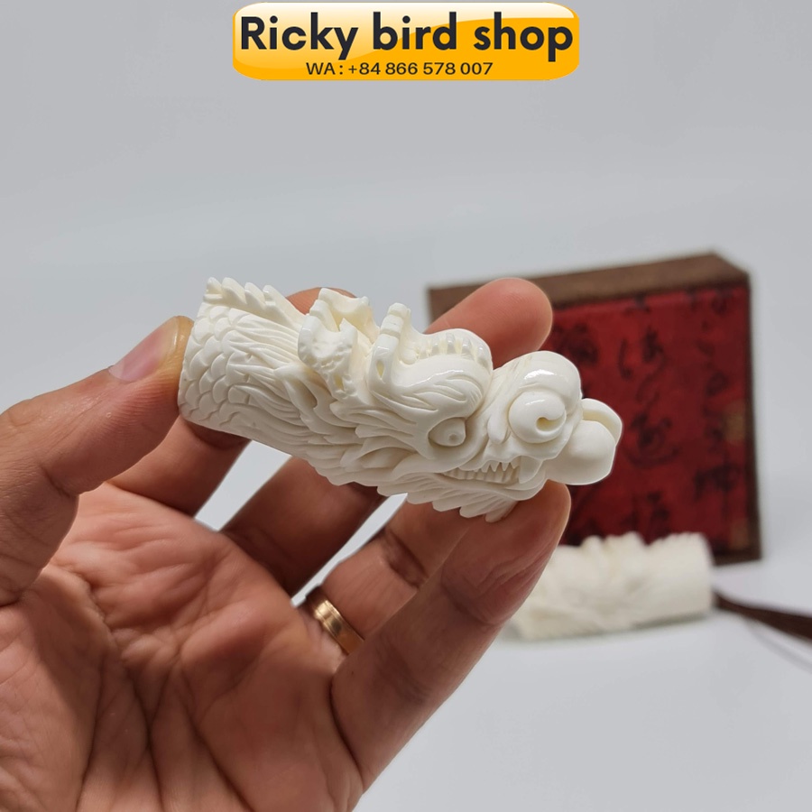 Đầu cầu Rồng cho lồng mi, khướu VIP