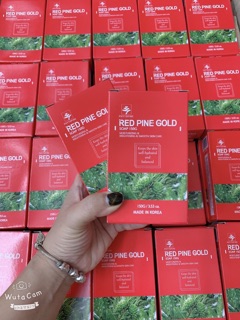 Xà phòng tinh dầu thông Đỏ Hàn Quốc