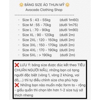 tee mĩ ủi( cổ tim) 2hand 245