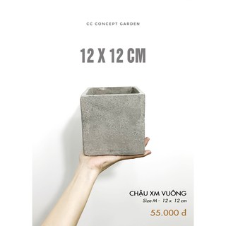 Chậu Xi Măng Vuông 12x12cm