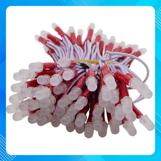 LED ruồi đơn 5V màu (trắng, đỏ, xanh lá, xanh dương, vàng)