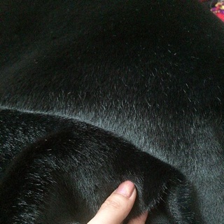 Vải lông rái cá màu đen trũi siêu mềm mượt như lông thật ạ. 250k 1kg được tầm 1mx1m70