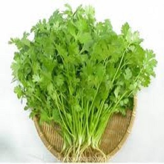 Hạt giống ngò rí - Hạt giống ngò mùi