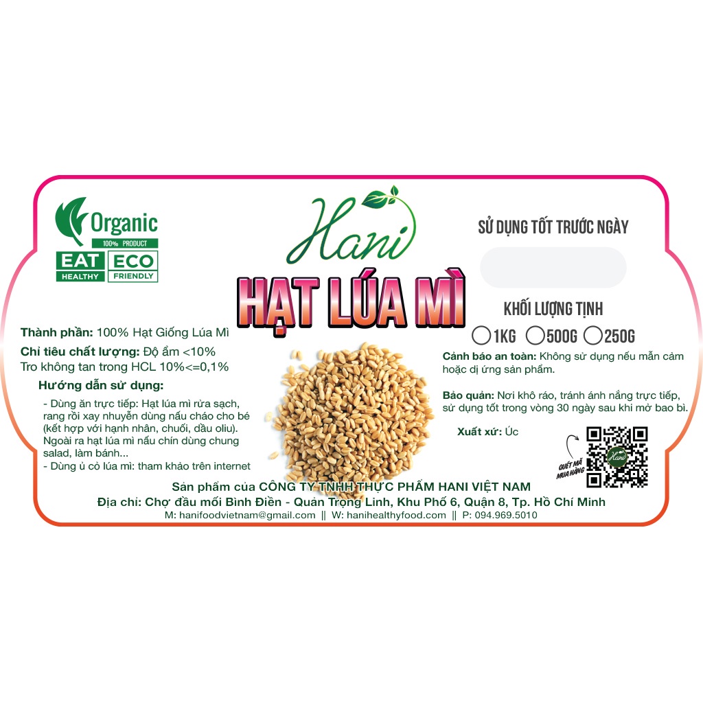 1Kg Hạt Giống Cỏ Lúa Mì, Cỏ Mèo, Không Biến Đổi Gen - Hỗ trợ tiêu hóa, Bổ sung chất xơ ☀️ Nông Sản Hani Food