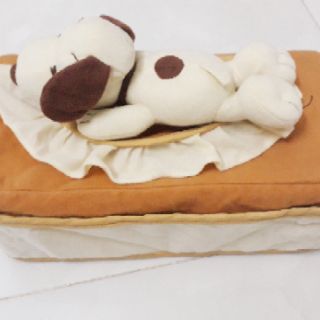 Bao hộp đựng khăn giấy