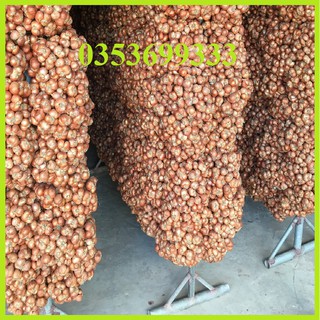 [ Sẵn HCM] 1 Kg Hành khô ta sạch loại 1 to mẩy để được cực lâu đặc sản Kinh Môn Hải Dương