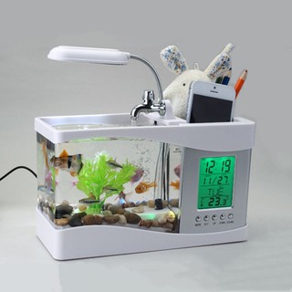 Bể Cá Mini Để Bàn Siêu Dễ Thương + Đồng Hồ