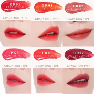 Son Apieu Color Lip Stain Velvet
