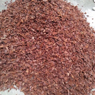 1 kg vỏ thông xay