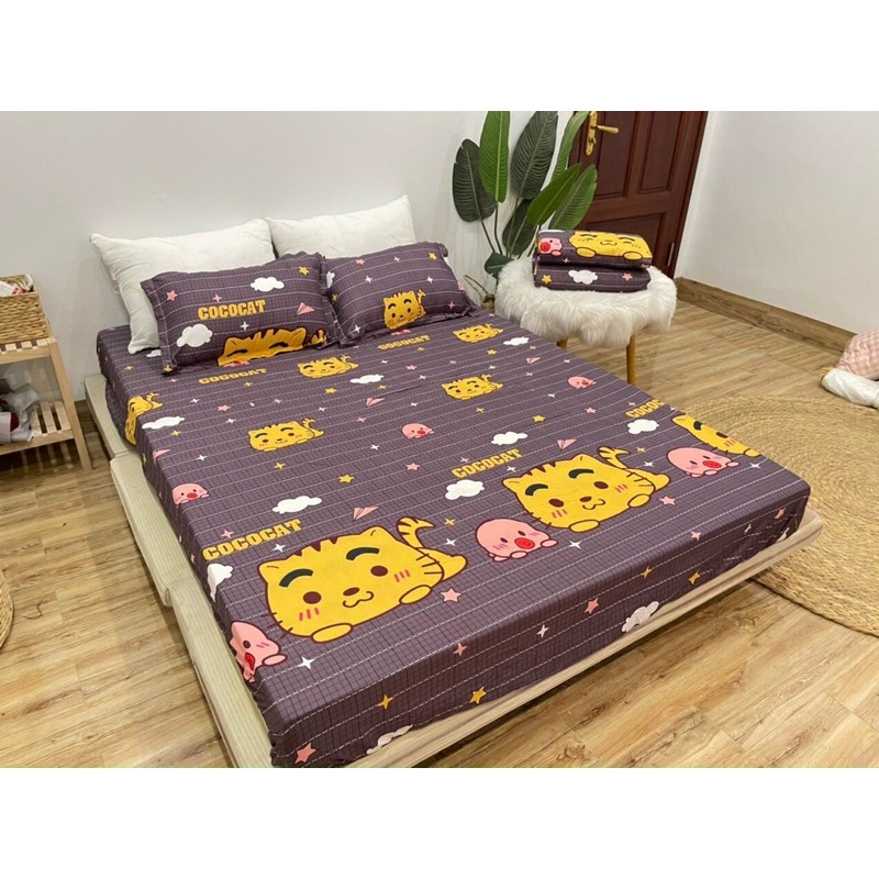 Bộ Ga Gối 3 Món Cotton Poly - Mèo Nâu