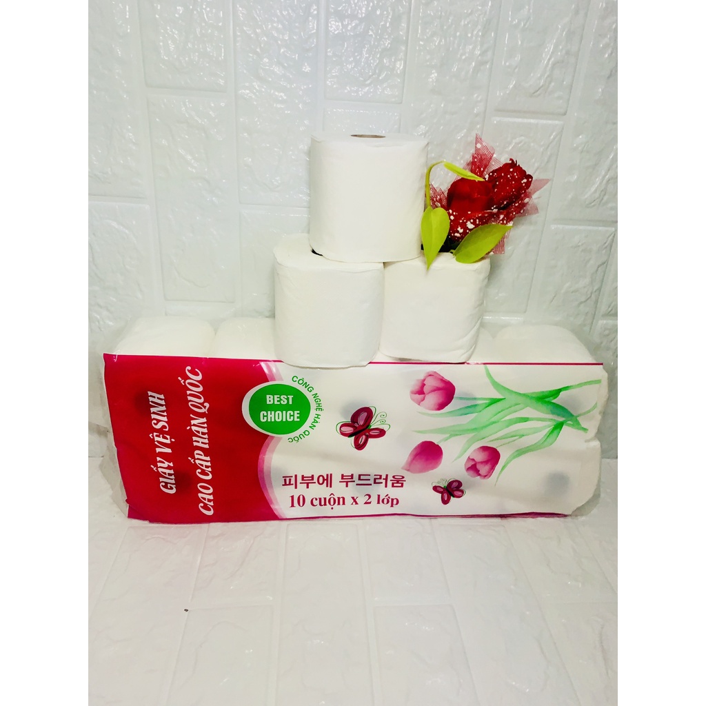 1 lốc giấy vệ sinh THIÊN AN NAM chuẩn Hàn Quốc 2 lớp (10 cuộn/ lốc)