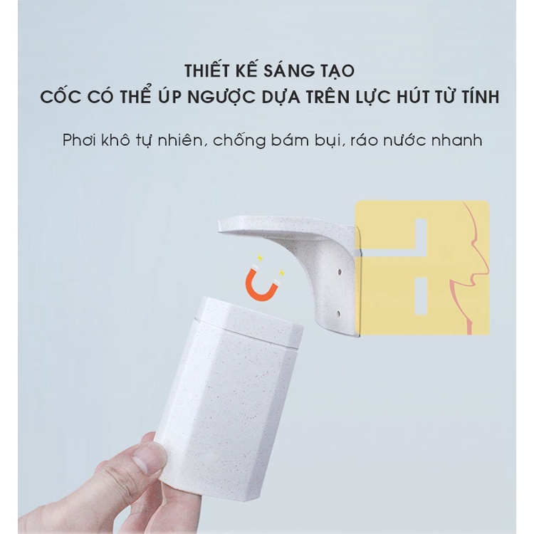 Cốc đánh răng gắn tường cao cấp Puretta treo ngược