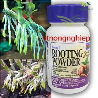 Bột siêu kích rễ Rooting Powder cho hoa lan và cây trồng, lọ 35(g)