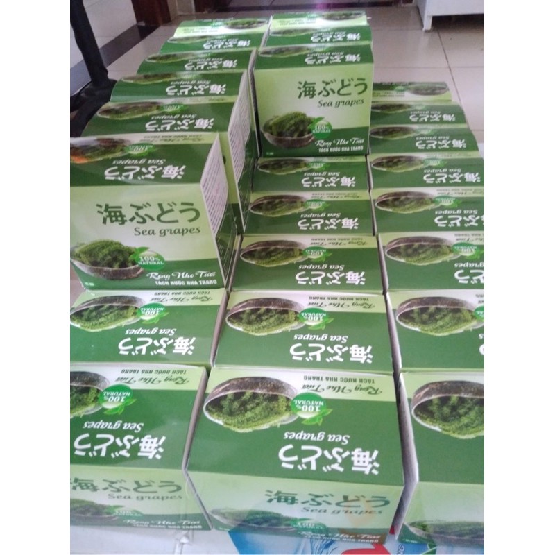 1kg chia 10 bịch rong nho tách nước thượng hạng đạt tiêu chuẩn xuất khẩu