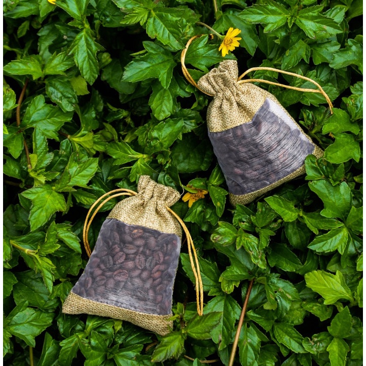 Combo 3 túi thơm cafe Robusta Đaklak 100gr treo xe ô tô