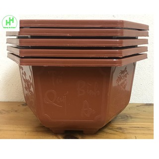5 Châu Nhựa Bonsai Lục Giác Bình Thuận 250x150 Trồng Hoa, Cây Cảnh,