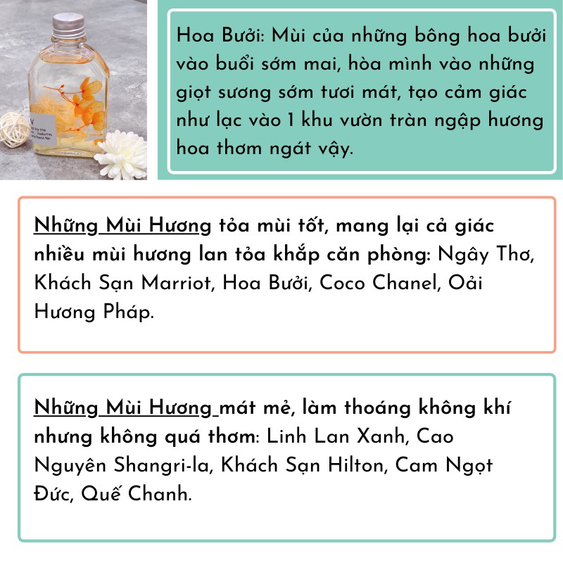 Tinh Dầu Thơm Phòng WIACHNN Phát Sáng Ban Đêm 100ml Tự Khuếch Tán Hương Khử Mùi Không Khí P0