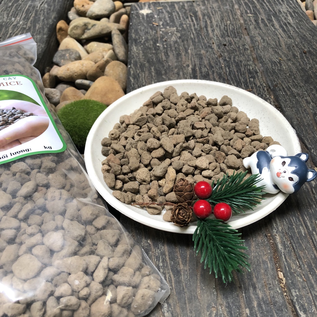 Đá Pumice cực tốt cho sen đá, cây kiểng.