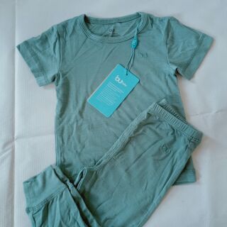 Combo đào thúy liễu
