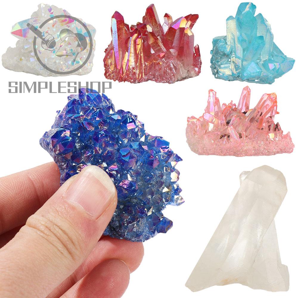 AURA Vỏ Ốc Tự Nhiên Nhiều Màu Sắc 50-70g