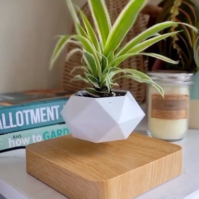 Chậu cây từ Air Bonsai bay lơ lửng nam châm