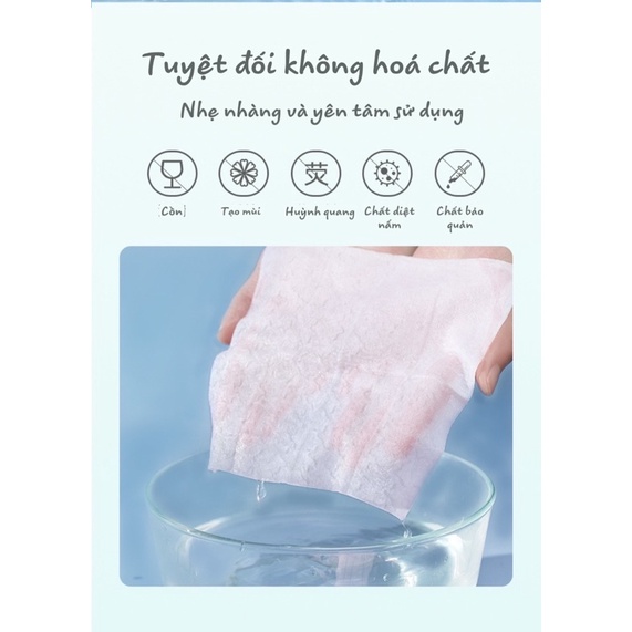 Khăn giấy ướt phụ khoa vệ sinh vùng kín dành cho phụ nữ