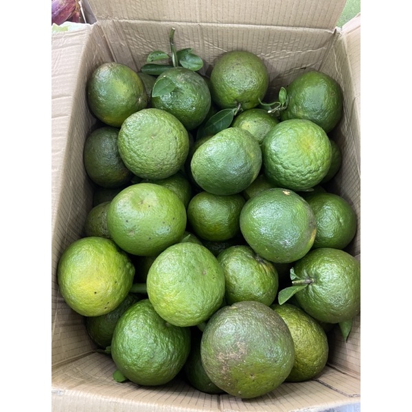 Cam sành vỏ mỏng 35K | BigBuy360 - bigbuy360.vn