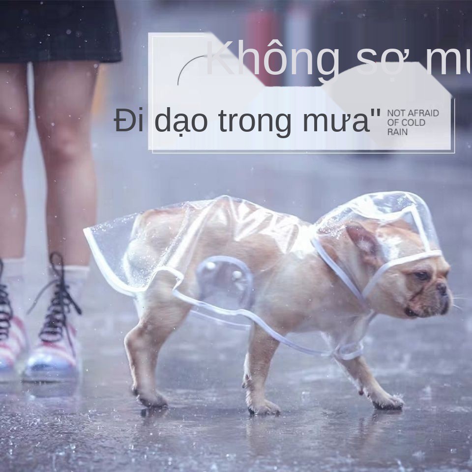 quần áo bao gồm tất cả cho chó lớn không thấm nước vật nuôi trong suốt mưa poncho Nguồn cung cấp