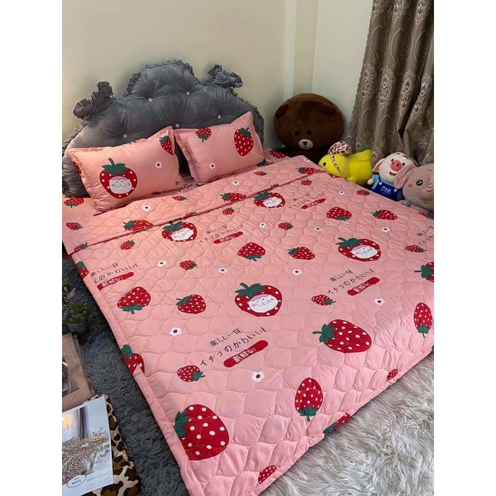 Sét bộ chăn hè ga gối 5 món poly cotton - Gồm 1 chăn hè 1 ga bo chun 2 gối nằm 1 gối ôm - Chăn ga gối  Ấm Êm Decor | BigBuy360 - bigbuy360.vn