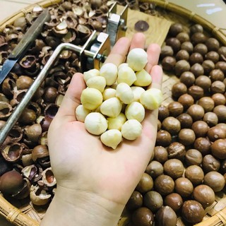 500gr Nhân Macca Lâm Đồng Cao Cấp - Đã sấy