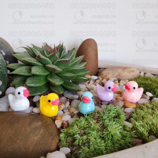 Phụ kiện trang trí tiểu cảnh Terrarium - Vịt con may mắn