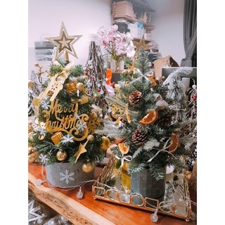Cây thông Noel decor [cam, quế, thông sấy khô. dây đèn đom đóm]